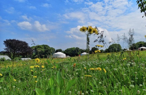 Newquay Cabin | Honeymoon - A luxury couples+ Yurt in a stunning historic estate near Newquay