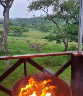 Albert Falls Apartment | Hoopoe log cabin NO 2