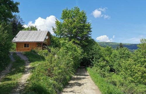 gmina Kamienica House | Hope Mountain Escape Poland, Wooden Cabin