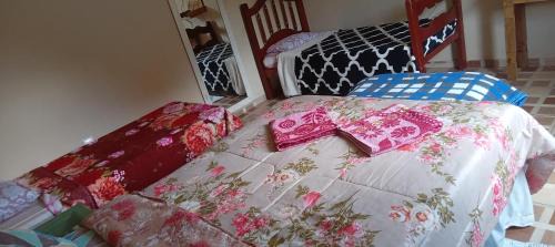 Lumiar House | Hospedagem canto dos pássaros