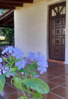 Santa Ana Other | Hospedaje Los Buenos Aires