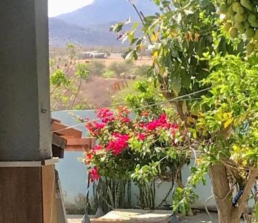 Guanambi House | Hospedaria Rancho Pérola