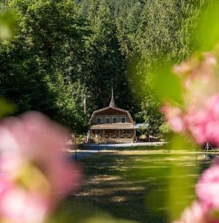 Ashford House | Hot Tub, Sauna, Cold Plunge - 1 mile from Rainier NP - Sleeps 8