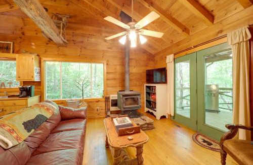 Vein Mountain House | Hot Tub Soaks and Fireside Relaxation! Marion Cabin