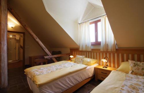 Stara Ves nad Ondrejnici Hotel | Hotel a restaurace Palfrig