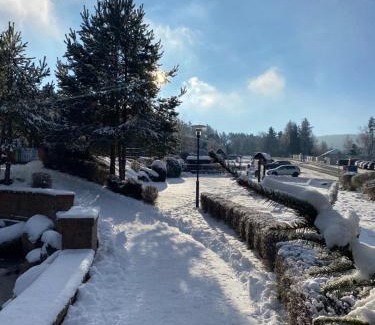 Lipno nad Vltavou Hotel | Hotel Admiral
