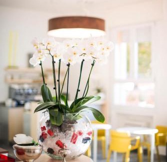 Historic Centre Hotel | Hotel Al Prato