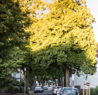 Leverkusen Bed & Breakfast | Hotel Alscher