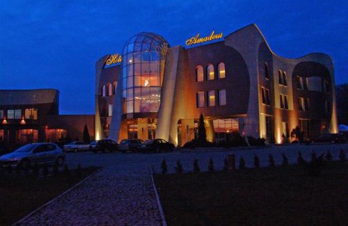 Wodzislaw Slaski Hotel | Hotel Amadeus