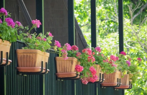 Aracena Apartment | Hotel Apartamento Rural Finca La Media Legua