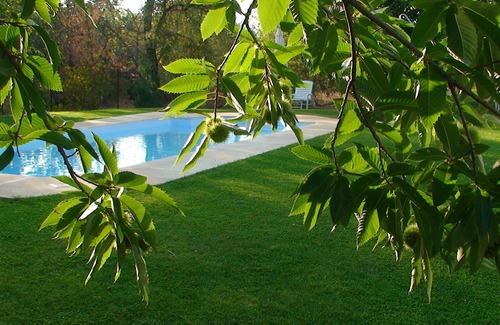 Aracena Apartment | Hotel Apartamento Rural Finca La Media Legua