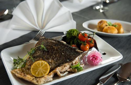 Legnica Hotel | Hotel Arkadia