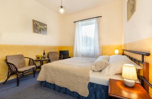 Ceske Budejovice Hotel | Hotel Atlas