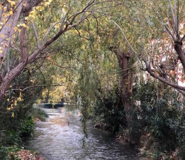 Jaraba Hotel | Hotel Balneario de La Virgen
