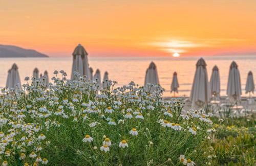Biodola Hotel | Hotel Biodola