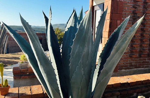 Valle de Guadalupe Cabin | Hotel Boutique Kpricho