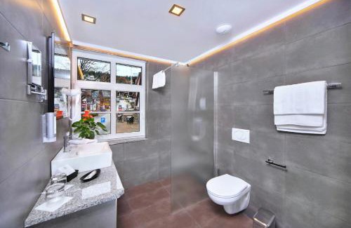Spindleruv Mlyn Hotel | Hotel Central 1920
