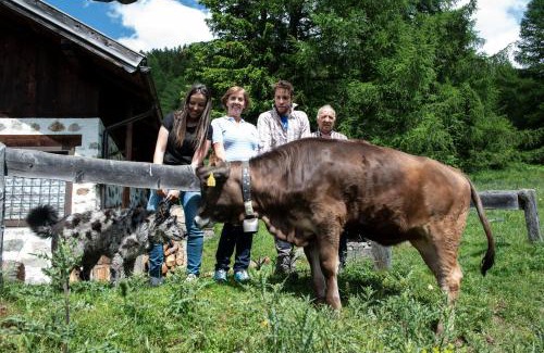 Celledizzo Hotel | Hotel Chalet Genziana