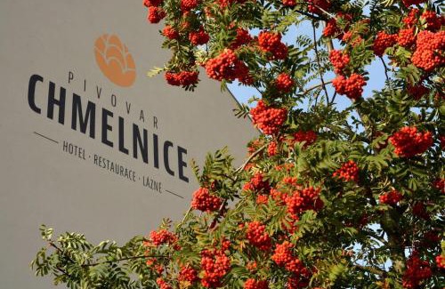 Napajedla Hotel | hotel Chmelnice