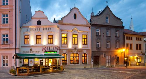 Jindrichuv Hradec Hotel | Hotel Concertino Zlatá Husa