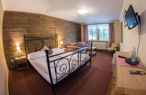 Spindleruv Mlyn Hotel | Hotel Erika