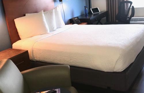 The East Side Hotel | Hotel Focus SFO
