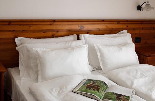 Santa Fosca Hotel | Hotel Garni Civetta