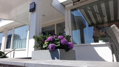 Noordwijk Hotel | Hotel Golfzicht