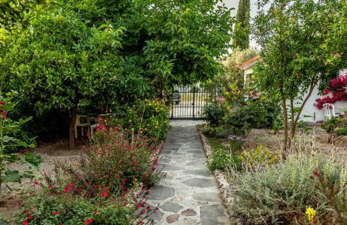 Archangelos House | Hotel Ikaros