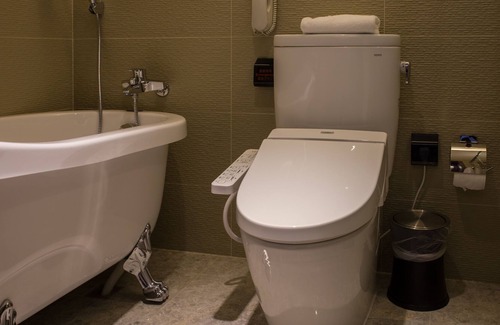 Pingzhen District Hotel | Hotel IN