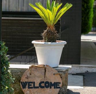 Zona XLV Castel di Guido Hotel | Hotel Boomerang