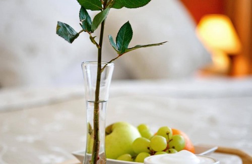 Liptovsky Mikulas Hotel | Hotel Jánošík