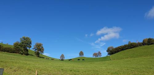 Schwarzenberg Hotel | Hotel Matt