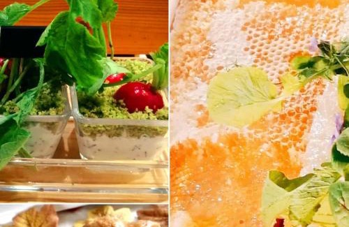Opatow Hotel | Hotel Miodowy Młyn