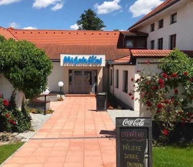 Cerekvicka-Rosice Hotel | Hotel Mlyn - Jihlava