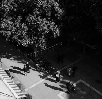 Trikala Hotel | Hotel Ntinas