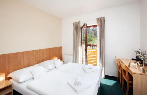 Brno Hotel | Hotel Panska Licha