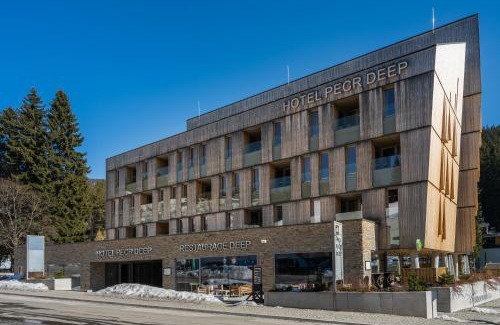 Pec pod Snezkou Apartment | HOTEL PECR DEEP