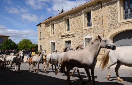 Gallargues-le-Montueux Hotel | Hotel Restaurant O'Banel