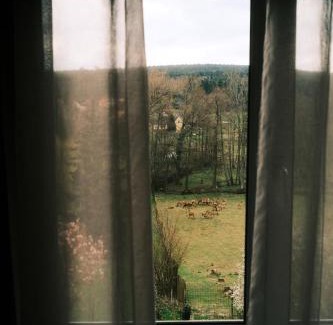 Birkenwald Hotel | Hotel Restaurant des Vosges