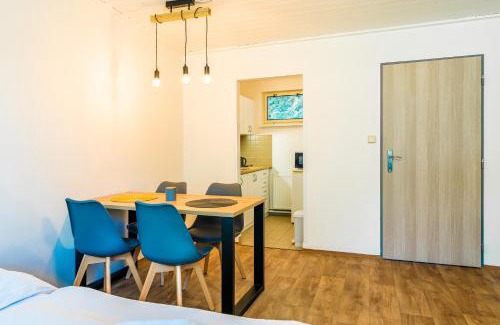 Nove Mesto na Morave Hotel | Hotel SKI