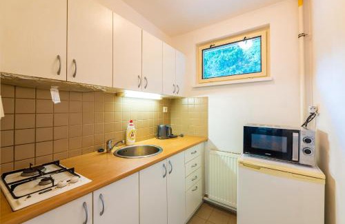 Nove Mesto na Morave Hotel | Hotel SKI