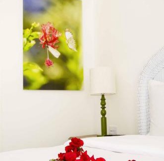 Canal Hotel | Hotel Solar do Arco