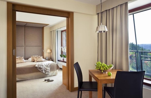 Krynica-Zdroj Hotel | Hotel SPA Dr Irena Eris Krynica Zdrój 12+