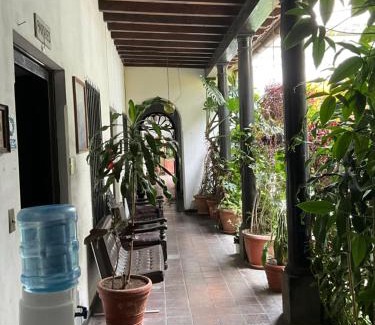 Zona 1 Hotel | Hotel Spring