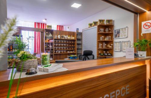 Velke Popovice Hotel | Hotel u Ledu