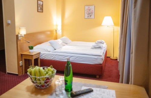 Plzen House | Hotel U Salzmannů