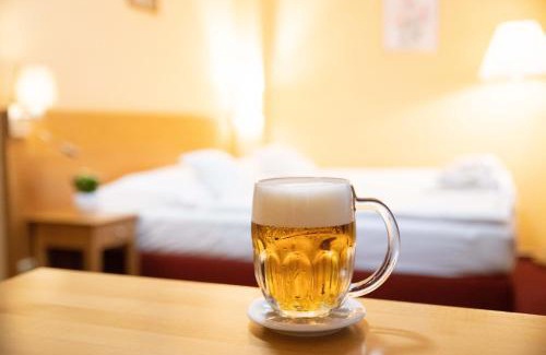 Plzen House | Hotel U Salzmannů