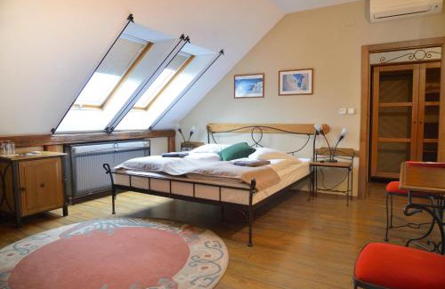 Vysoke Myto Hotel | Hotel Via Ironia