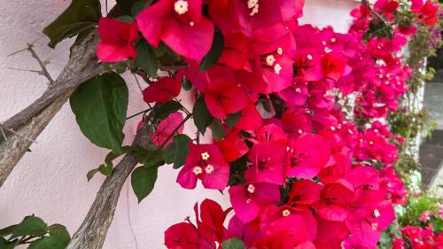 Anacapri Hotel | Hotel Victoria Place